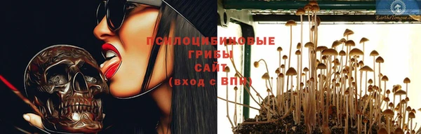 spice Абаза