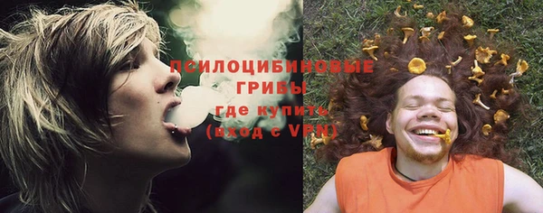 spice Абдулино