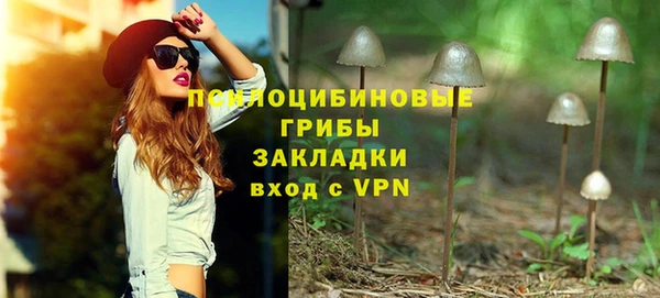 spice Абаза