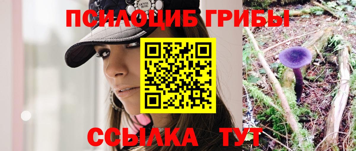 Конаково  Галлюциногенные грибы MAGIC MUSHROOMS  Вход с VPN 