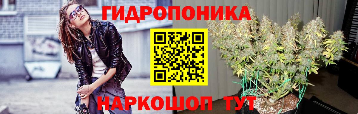 Конаково  Бошки марихуана план  МАРИХУАНА индика  Конопля гибрид  Марихуана AK-47  Вход с VPN 